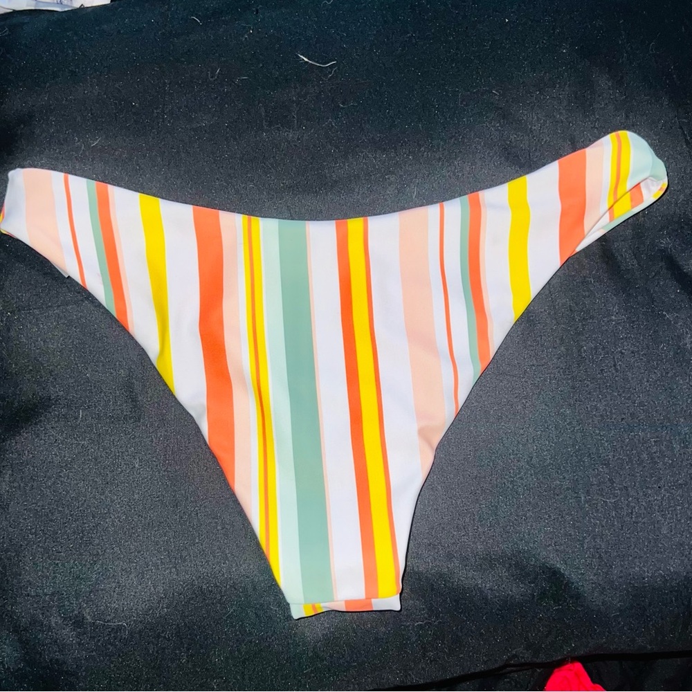 Striped Multicolor Bikini Bottom - Picture 3 of 4